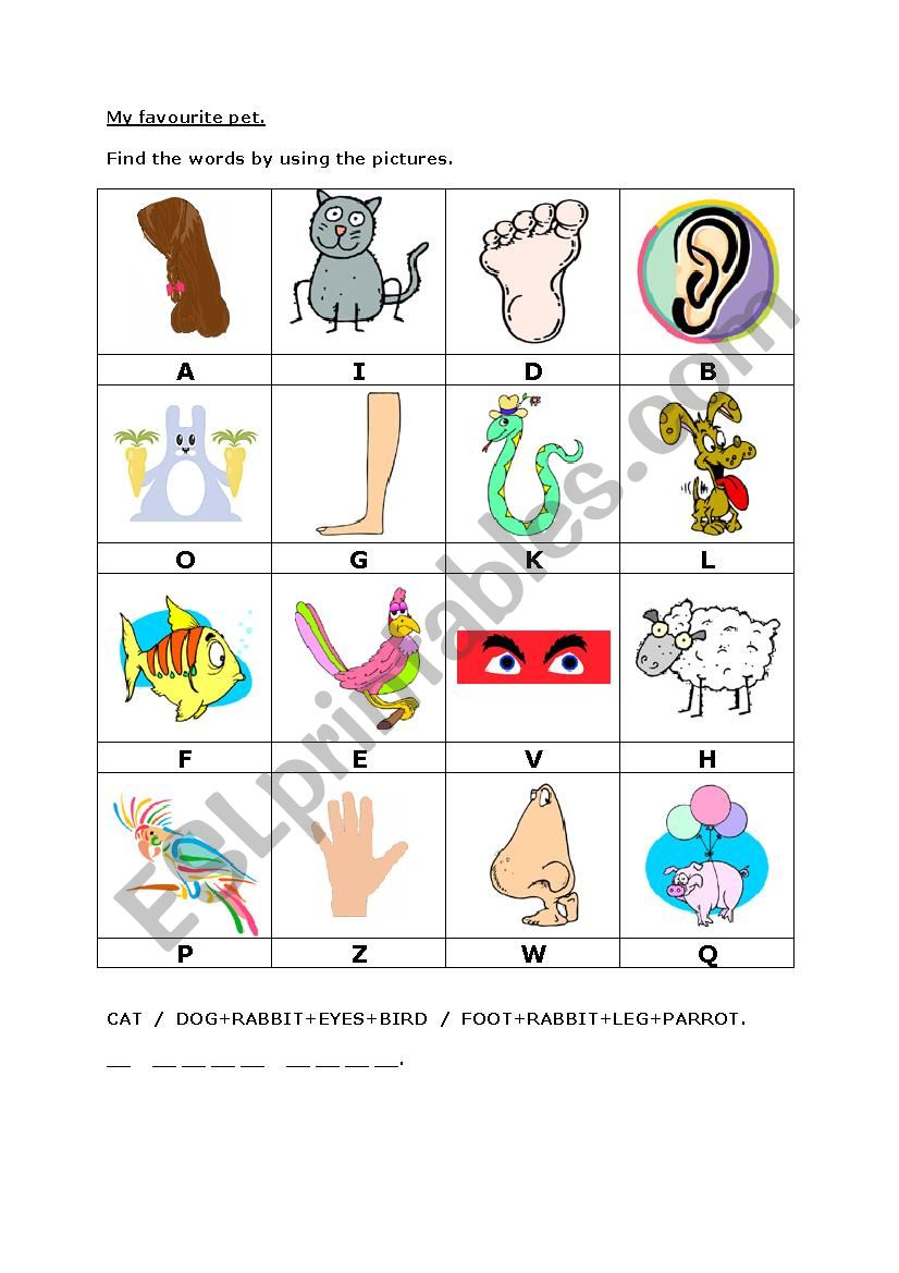 my favourite animal worksheet