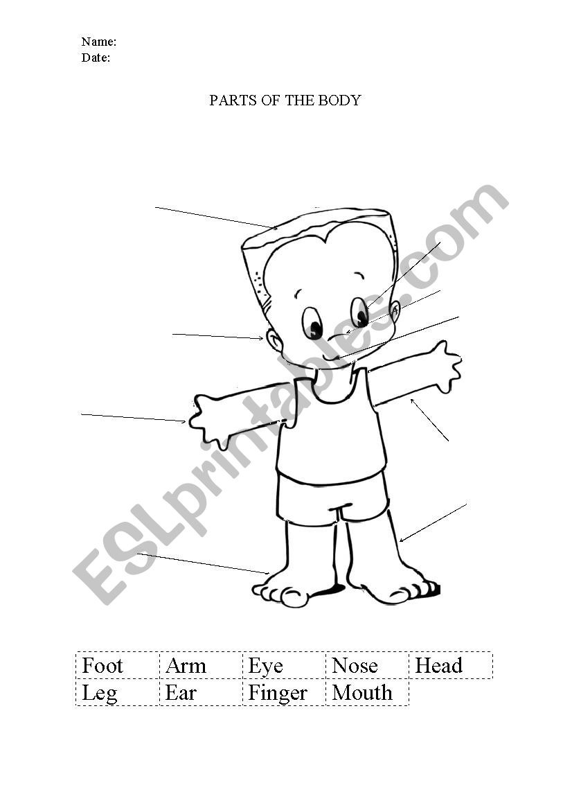 Parts of the body worksheet