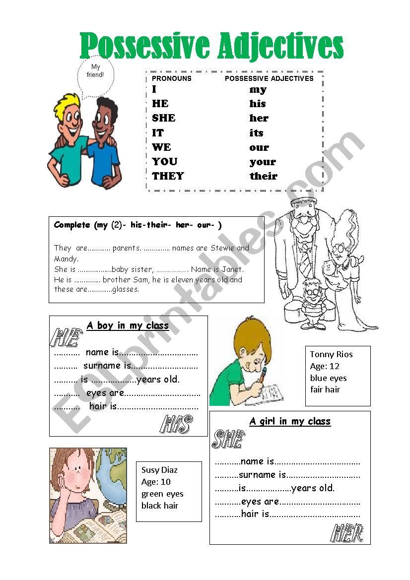 possessive adjectives worksheet