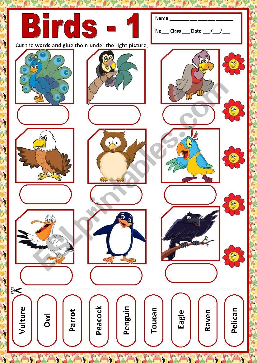 BIRDS 1 - MATCHING worksheet