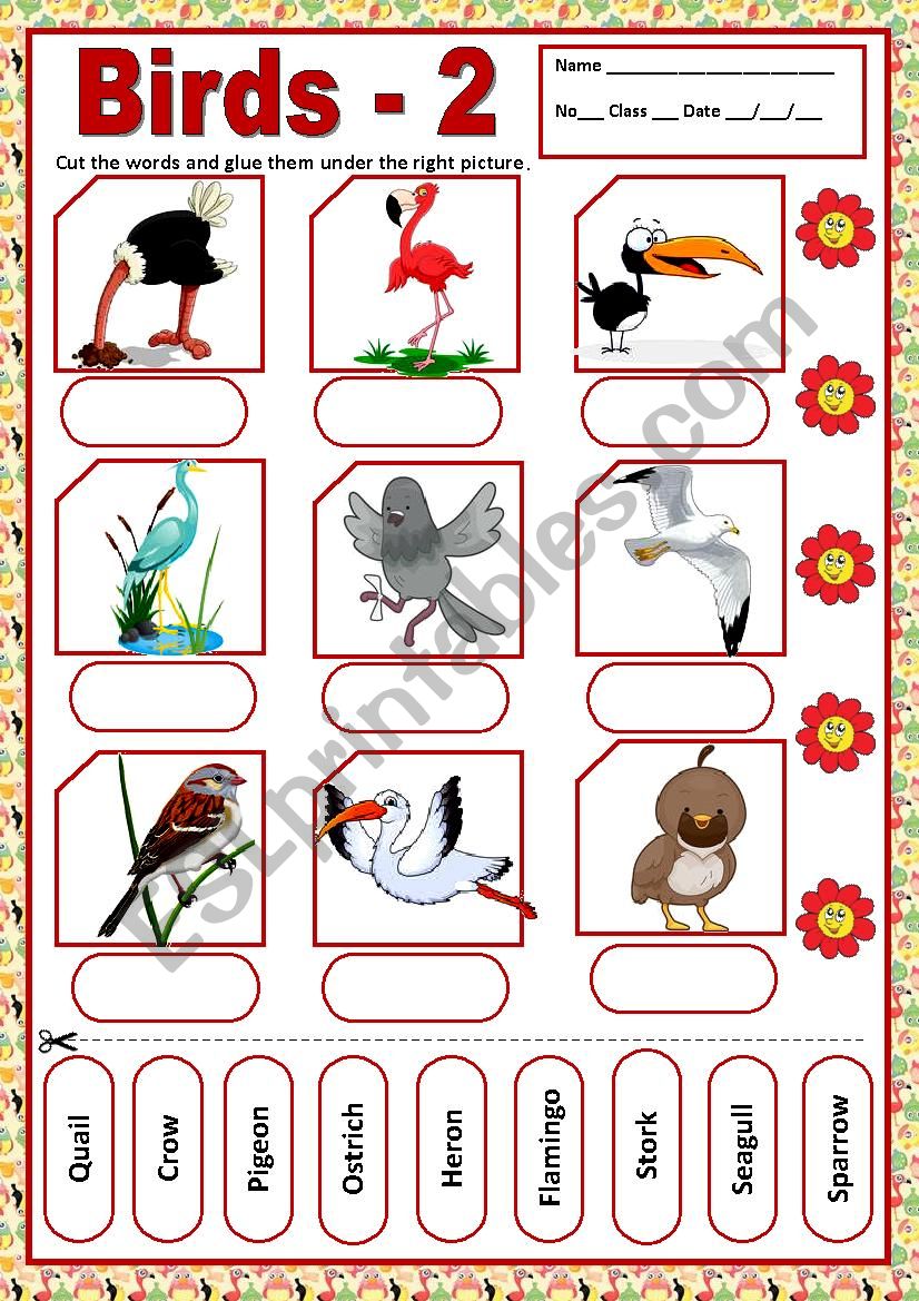 BIRDS 2 - MATCHING worksheet