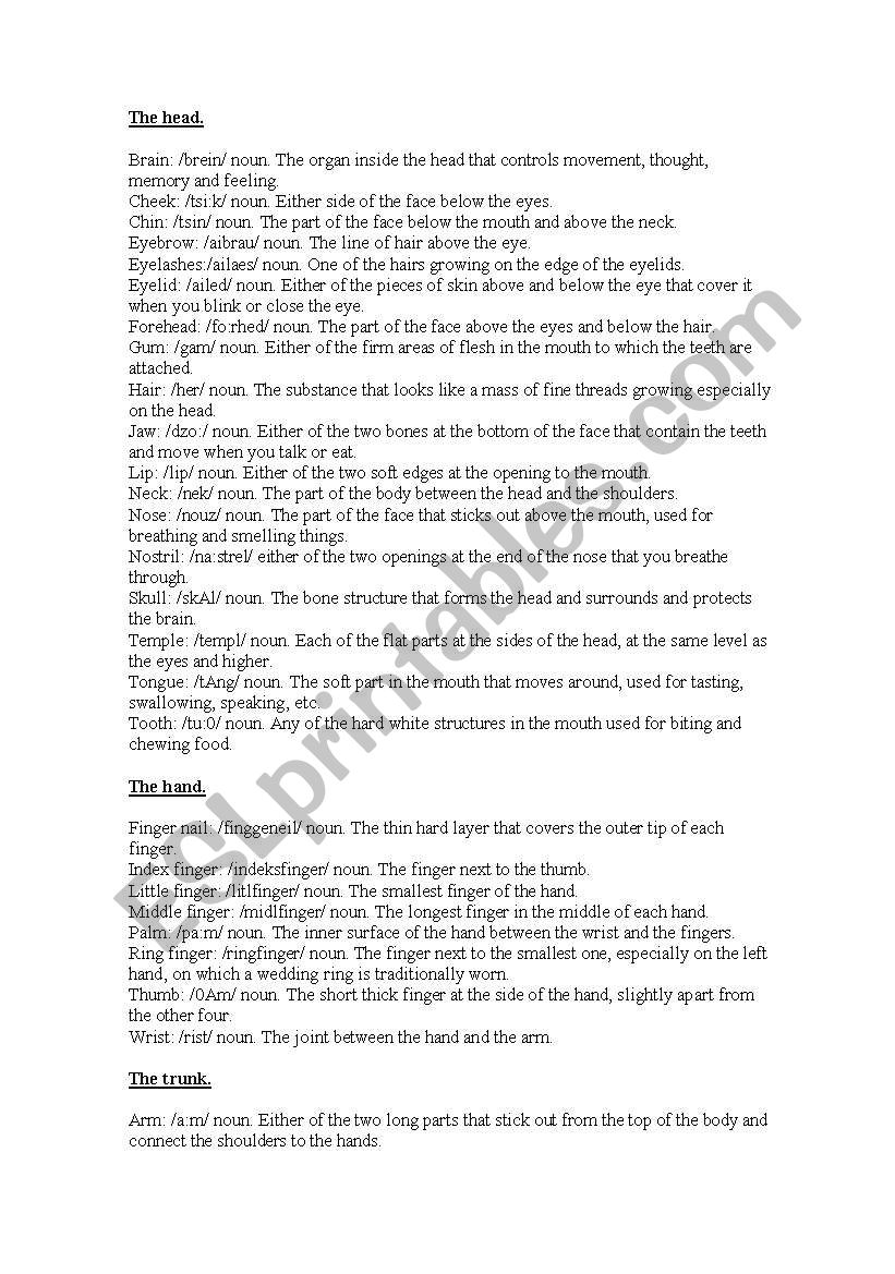 parts of the body worksheet