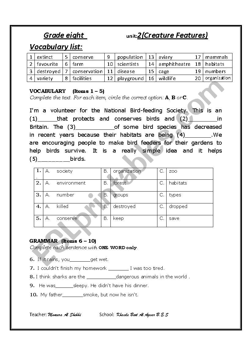 Vocabulary & Grammar worksheet