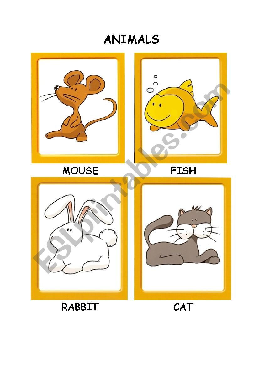 ANIMALS worksheet