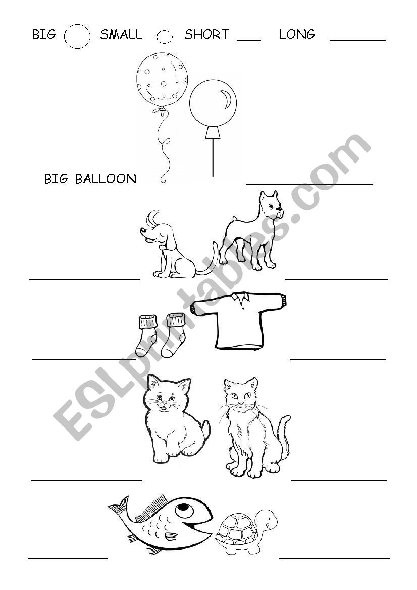 big-small-short-long-esl-worksheet-by-florenciaperez21