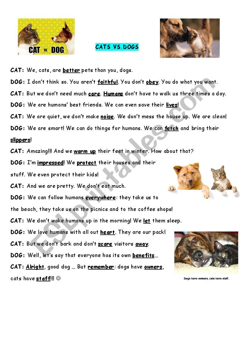 Dogs vs.cats worksheet