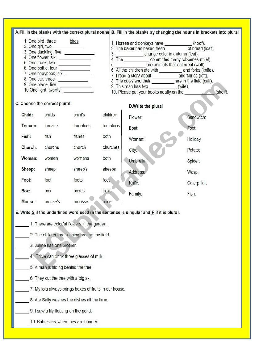 Singular and Plural worksheet