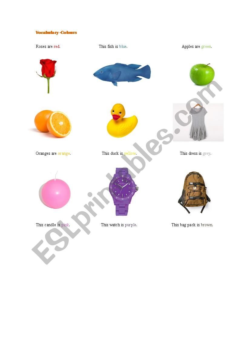Colours Vocabulary worksheet