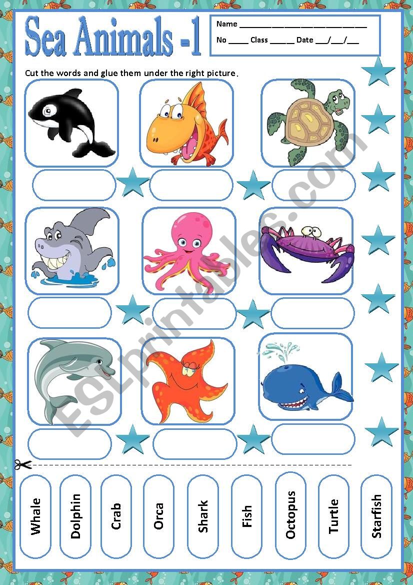 SEA ANIMALS 1 - MATCHING worksheet