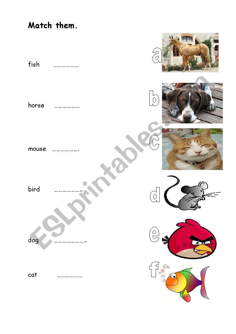 pets  worksheet