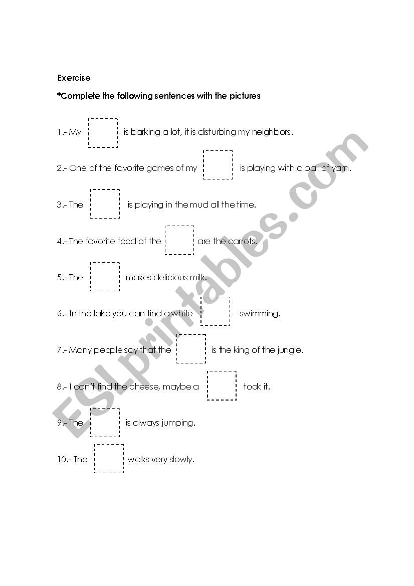Animals worksheet worksheet