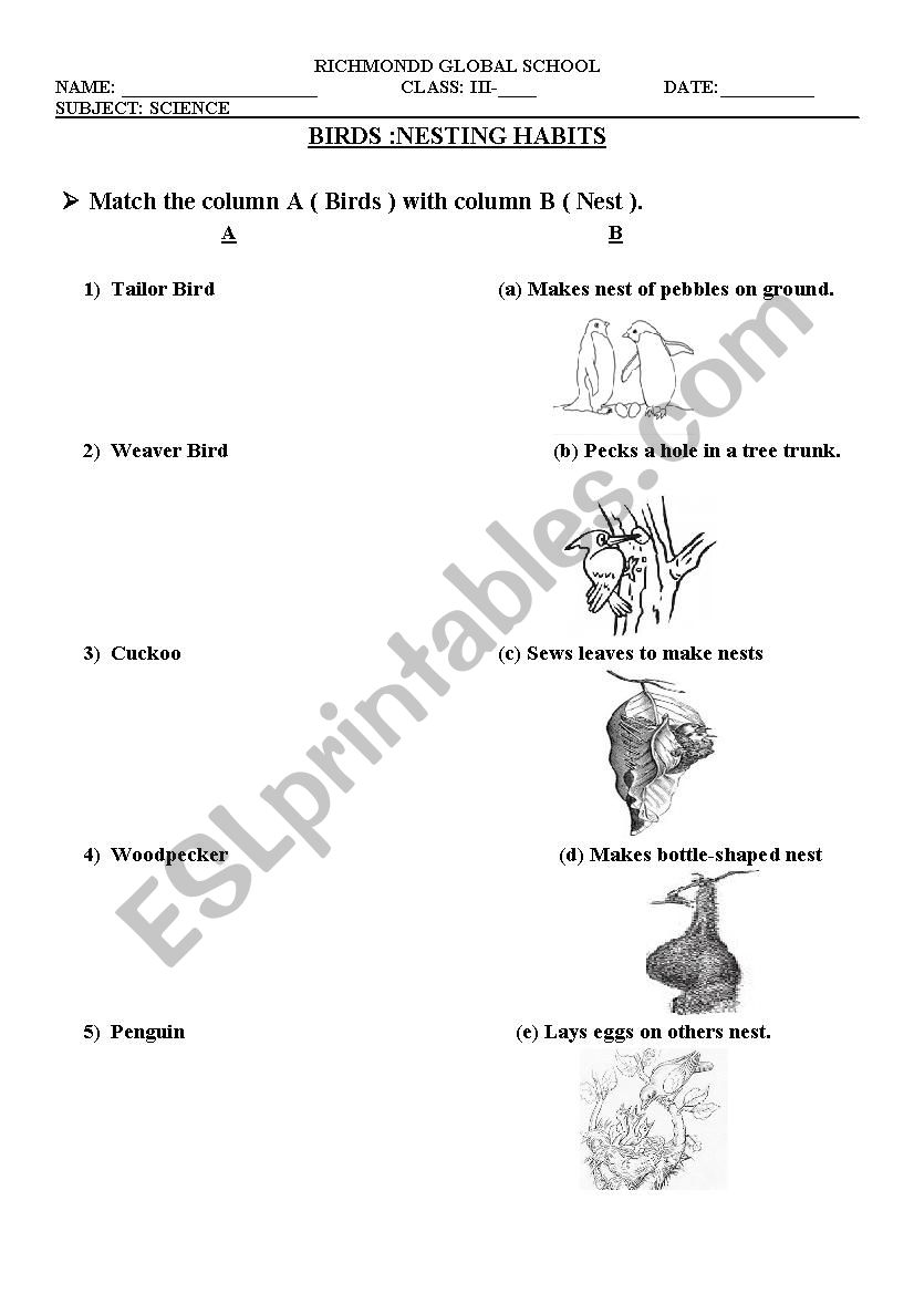  BIRDS NESTING HABBITS worksheet