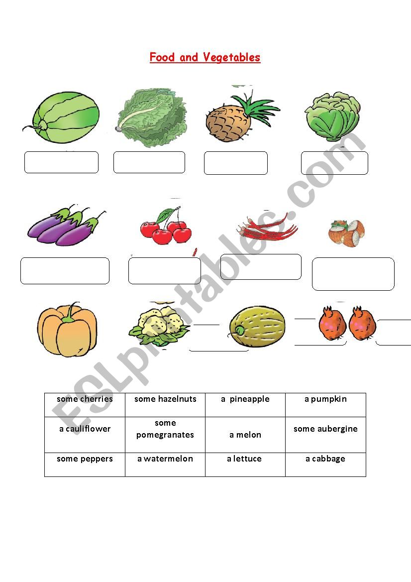 fruits and vegetables worksheet