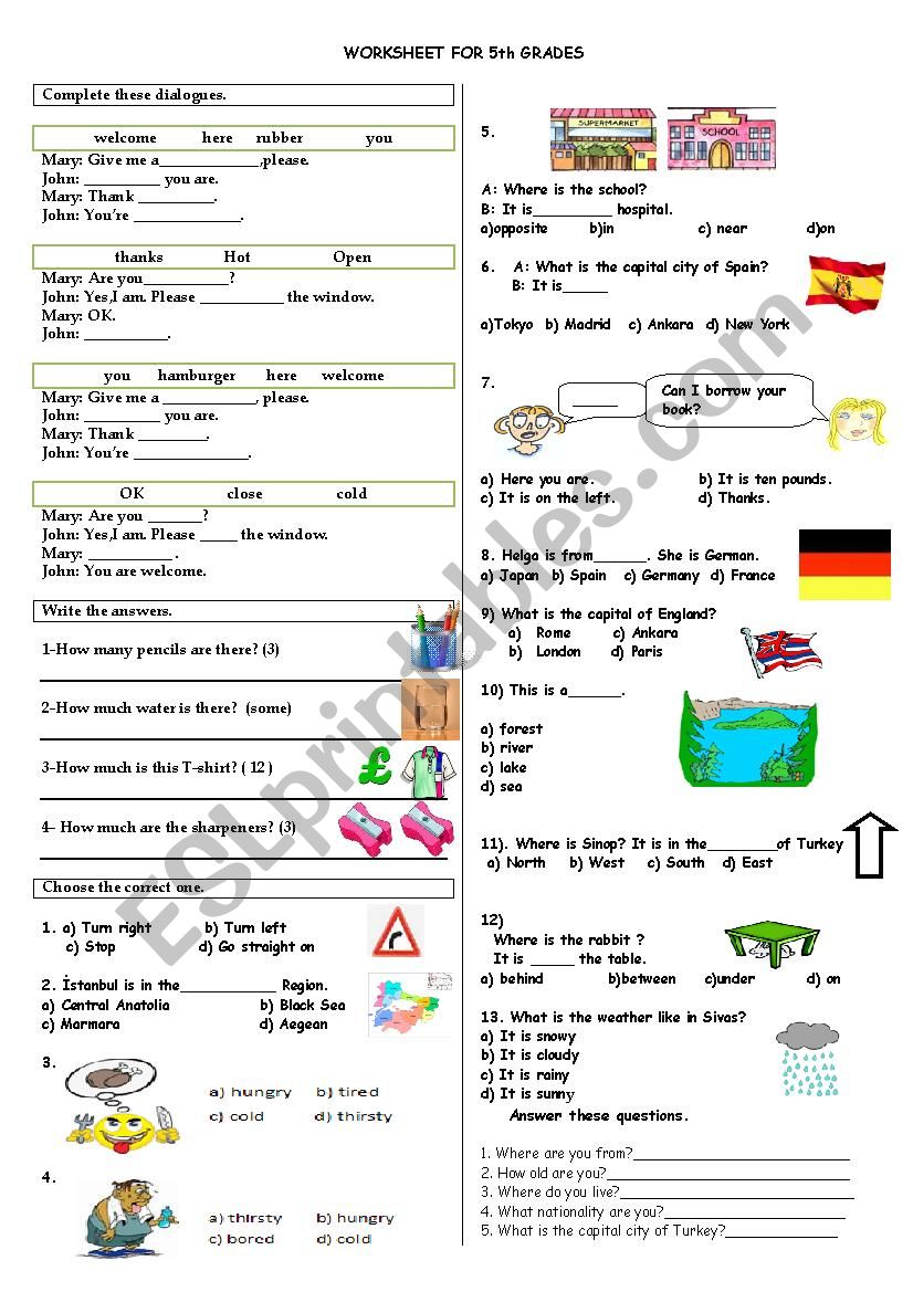 worksheet for 5th grades worksheet