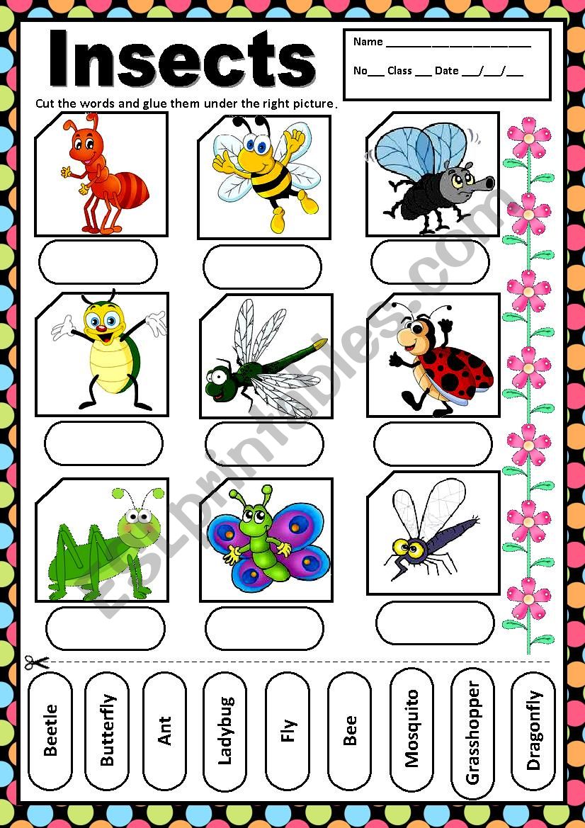 INSECTS - MATCHING worksheet