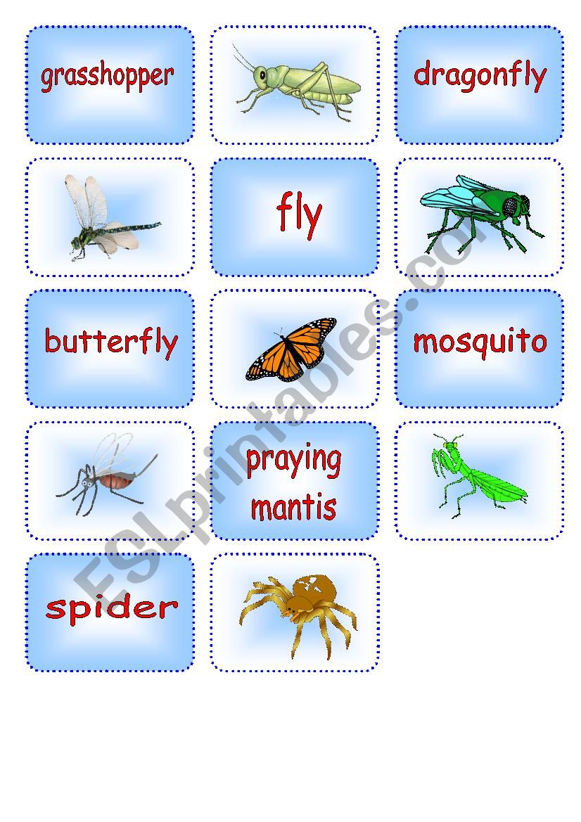 Creepy Crawly Matching Cards 3