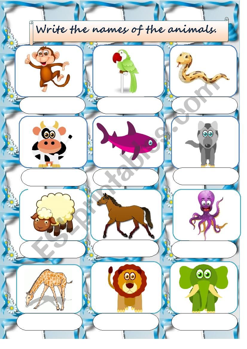 Animals worksheet