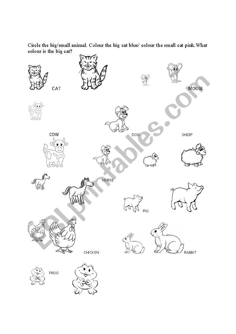 Big and Small Worksheet: Animals