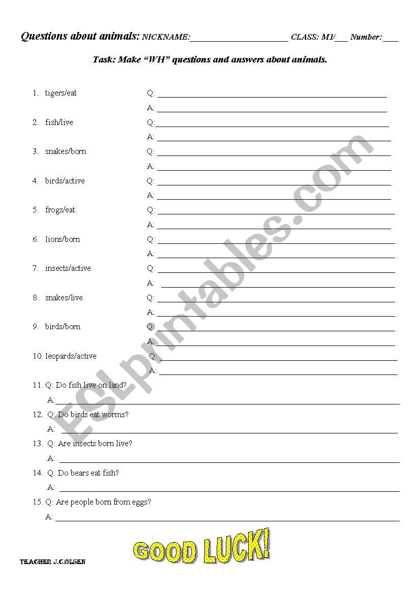 wh animal questions worksheet