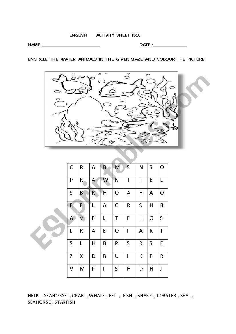 sea animals worksheet