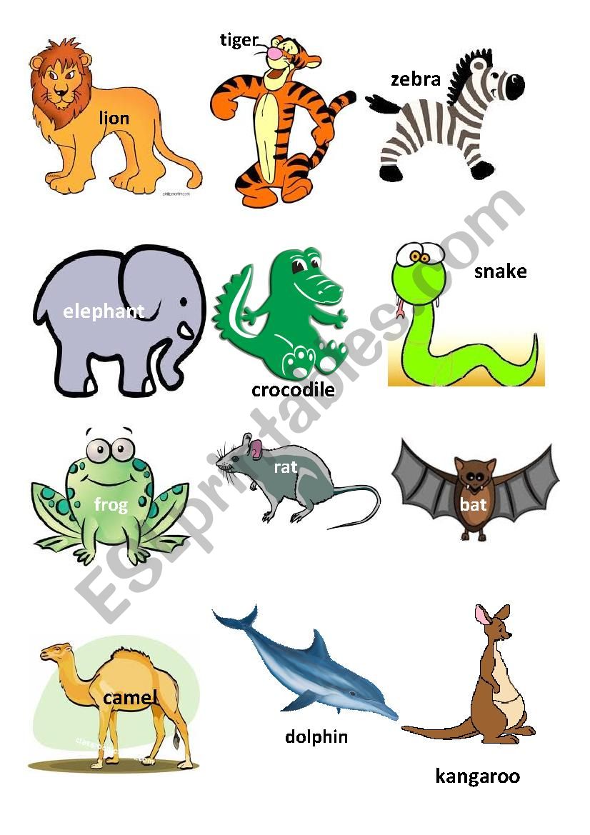 Animals 2 worksheet