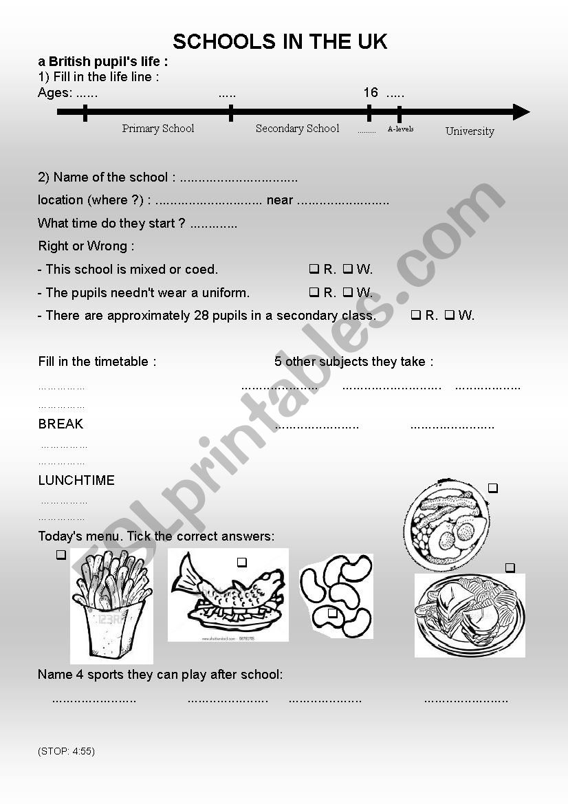 Schools in the UK worksheet