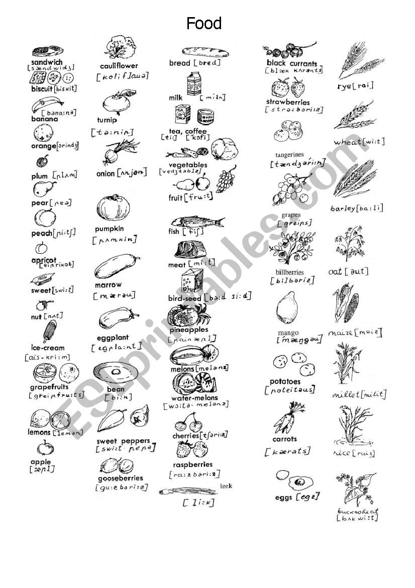 Food words worksheet