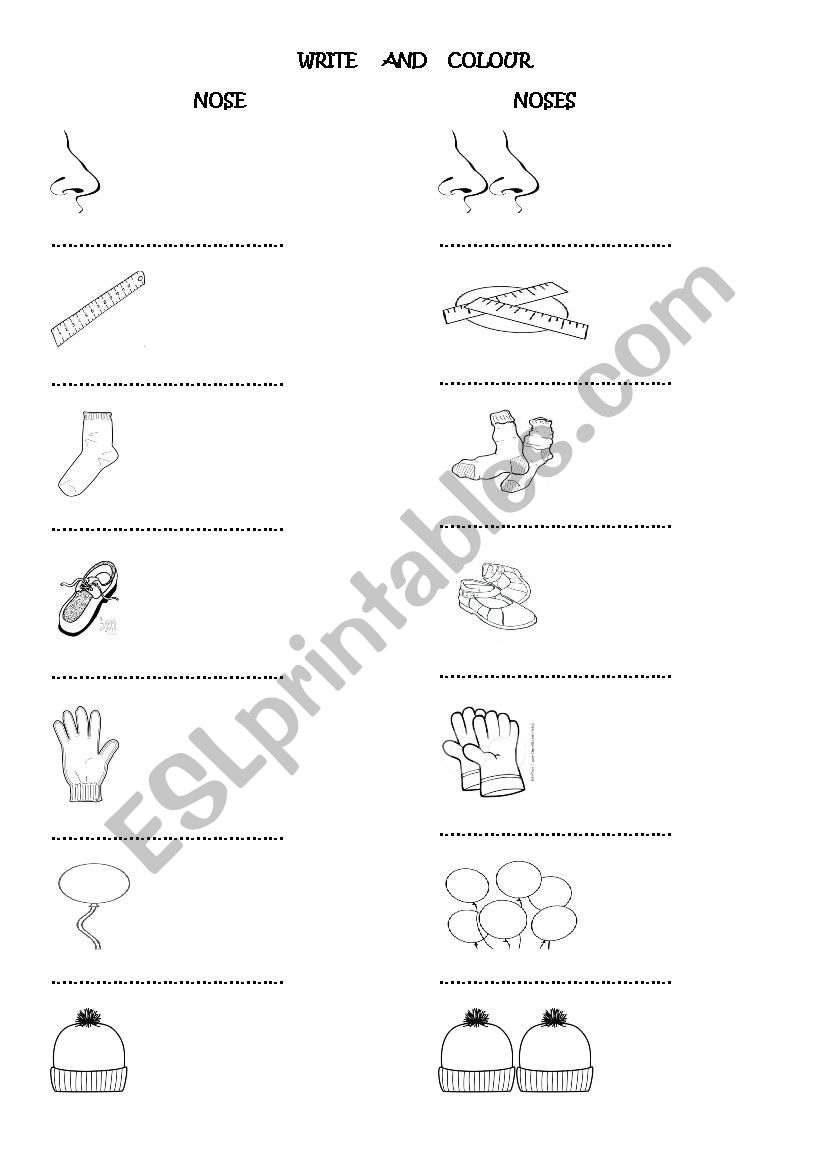 singulars and plurals worksheet