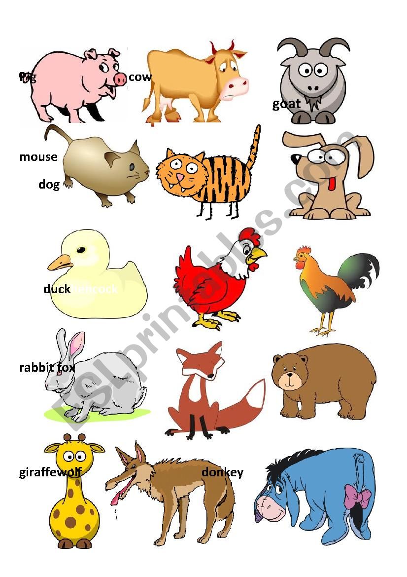 Animals worksheet