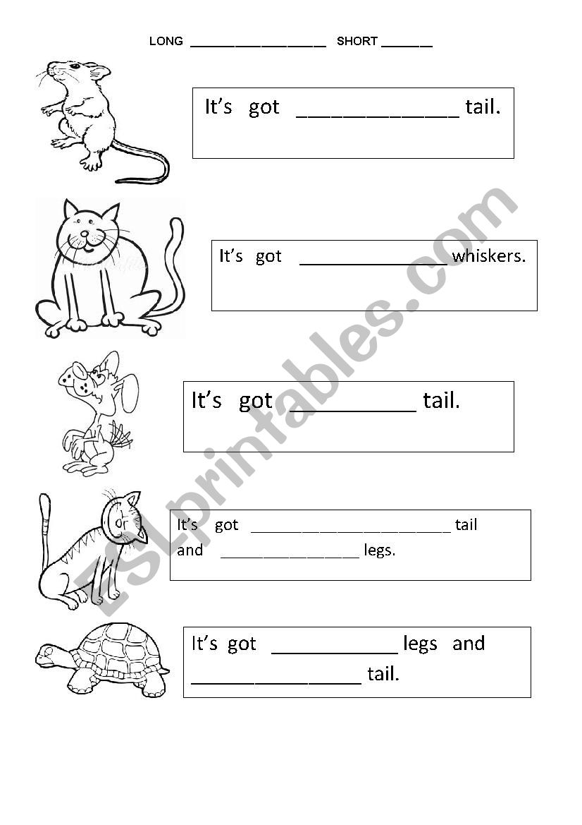 long-short worksheet