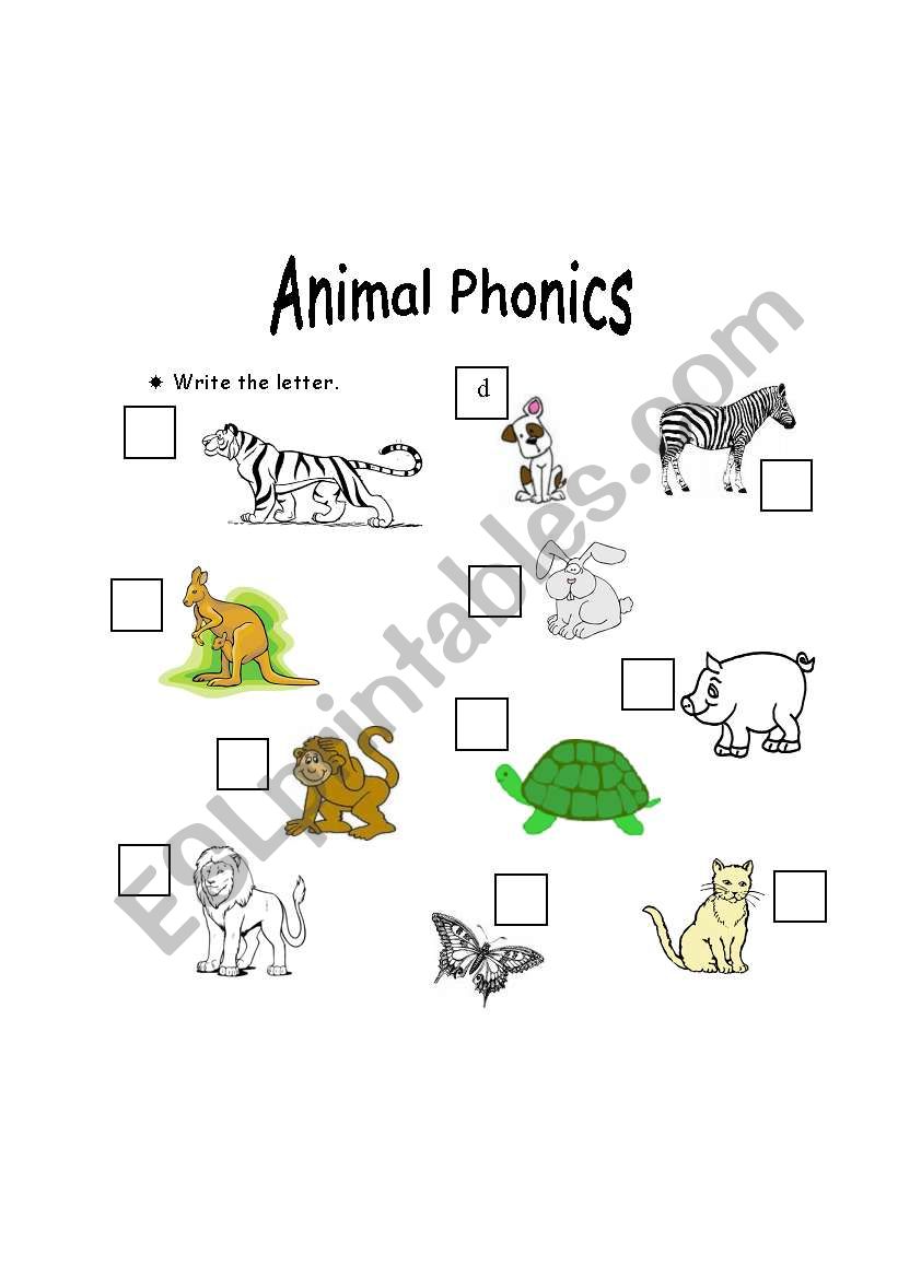 Animal Phonics worksheet