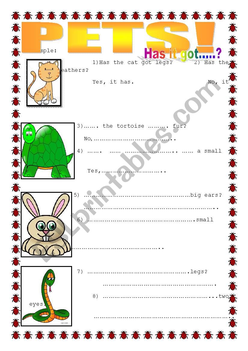 Pets worksheet