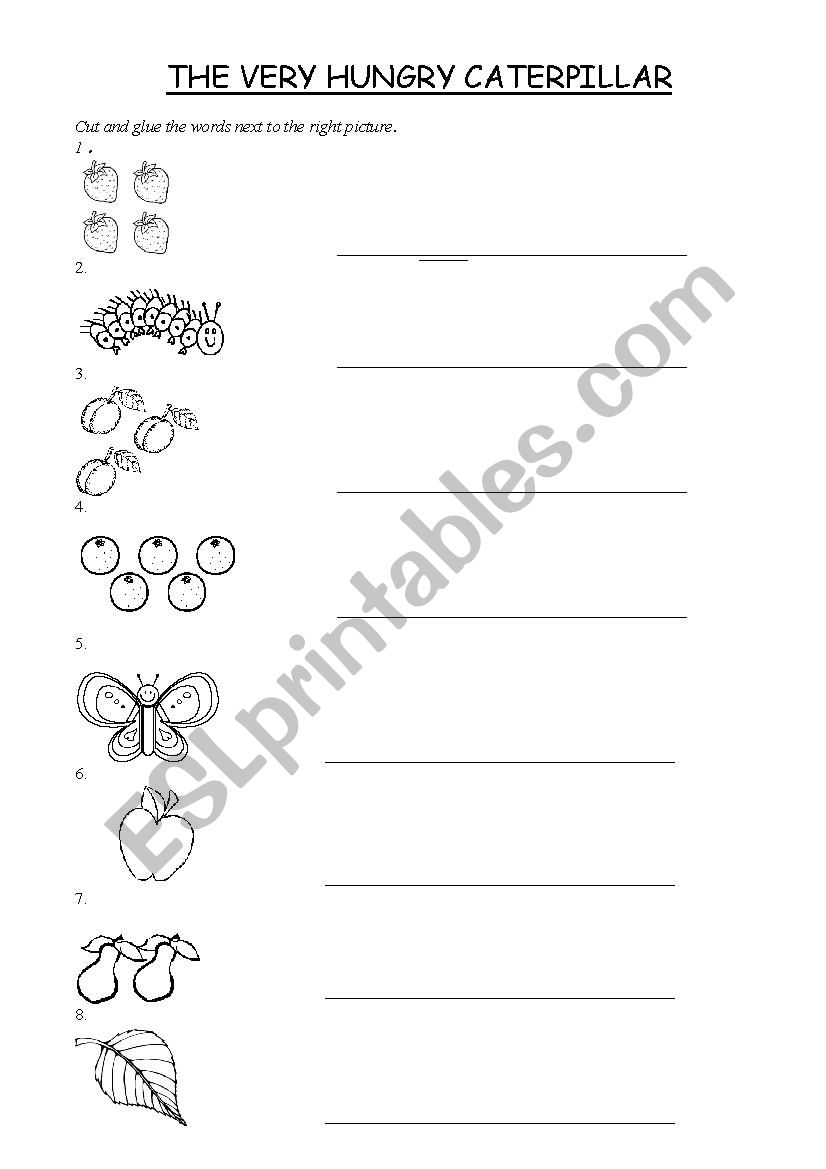 The Very Hungry Caterpillar worksheet