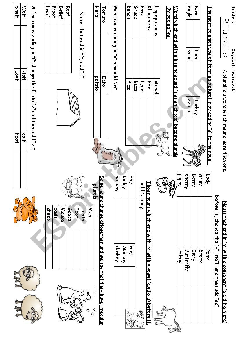 Plurals worksheet