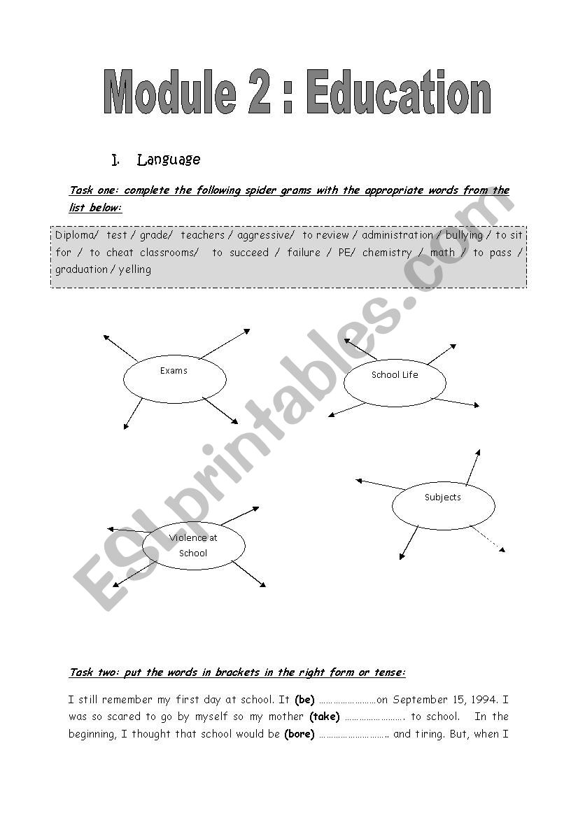 revision module 2 9th worksheet