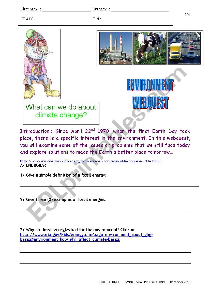 ENVIRONMENT WEBQUEST worksheet