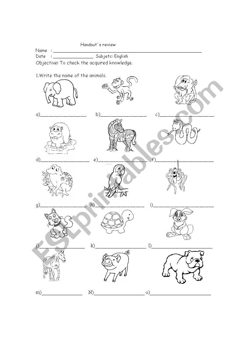 animals worksheet