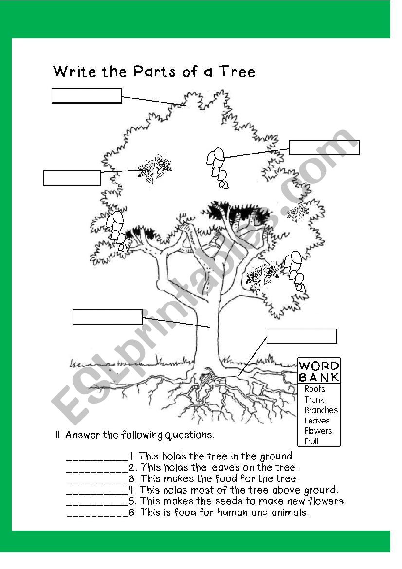Parts of A Tree - ESL worksheet by joannagrace11 For Parts Of A Tree Worksheet