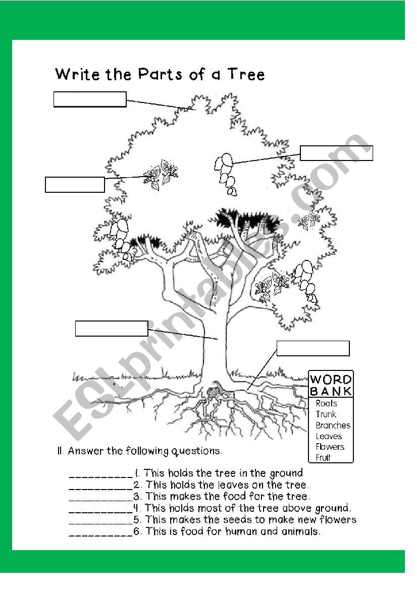 parts-of-a-tree-worksheet