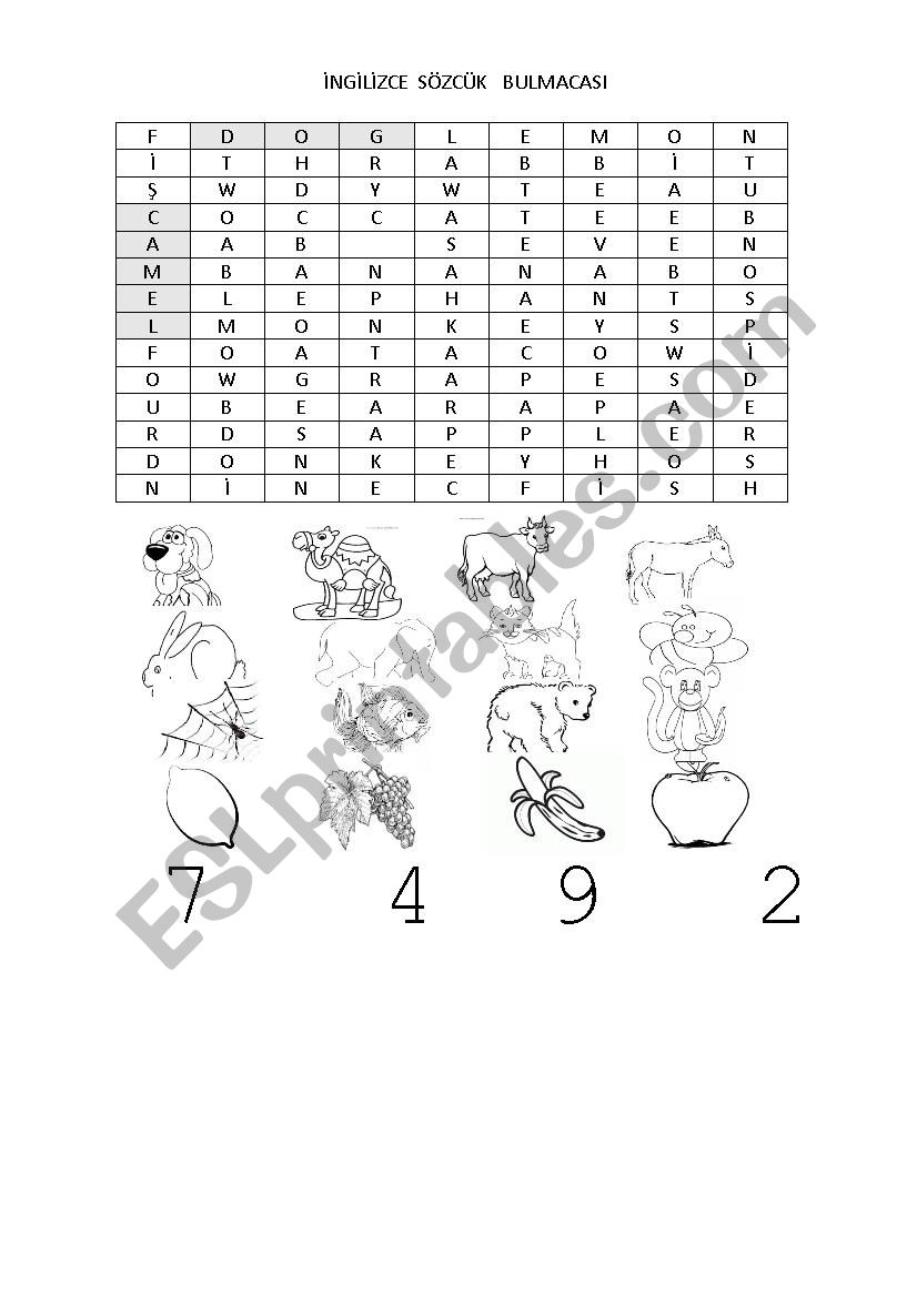English Turkish crossword worksheet