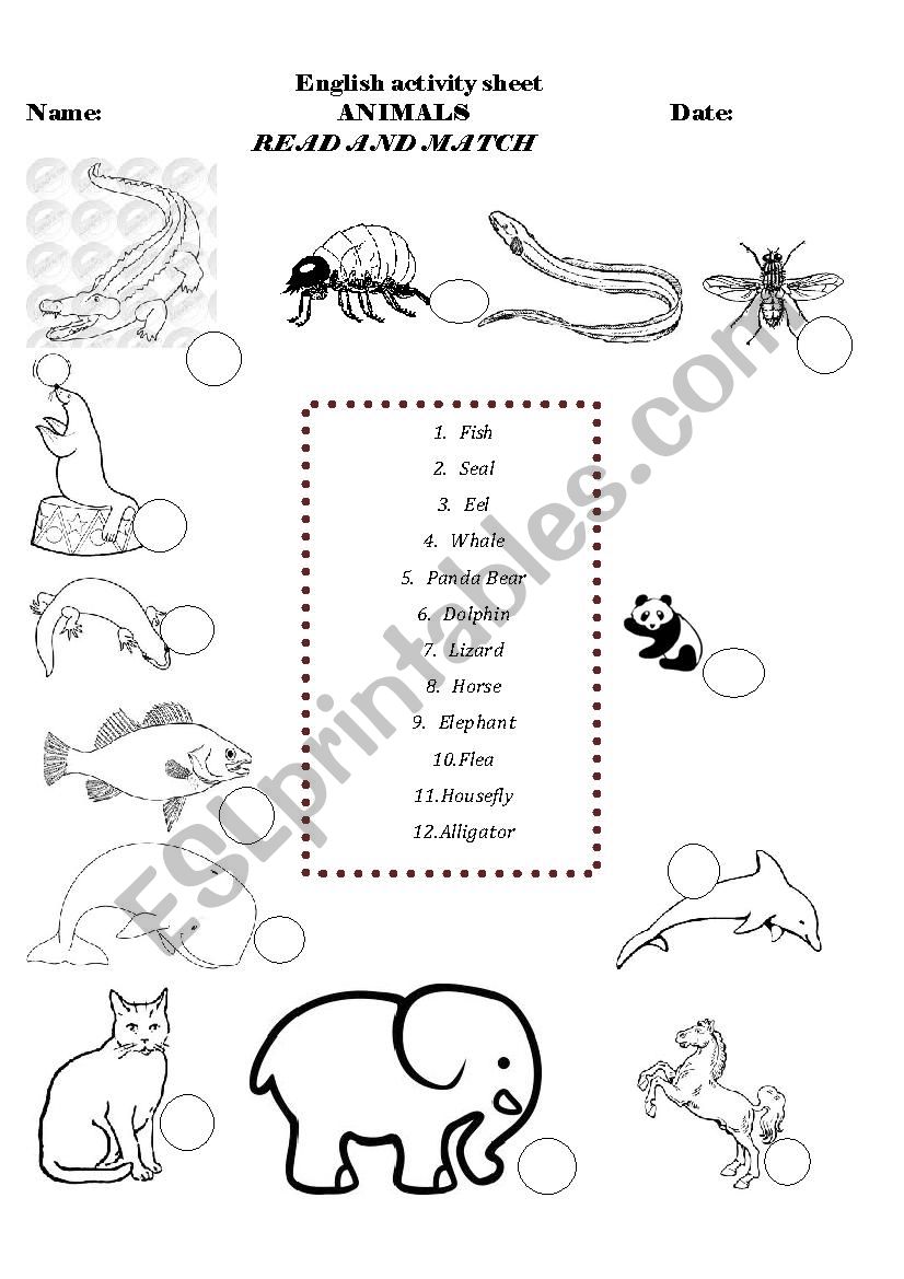 ANIMALS worksheet