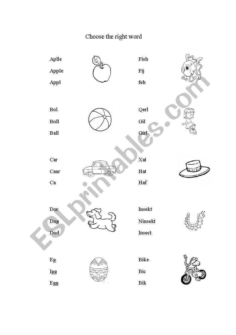 Choose the right word worksheet