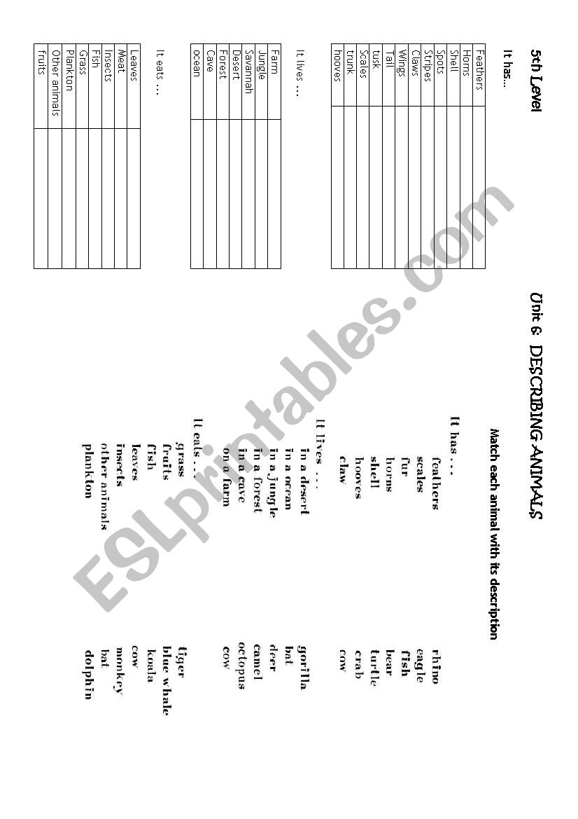 Describing animals worksheet