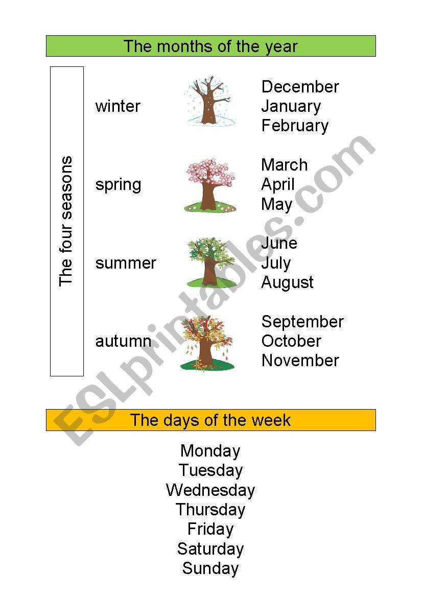 months and days worksheet