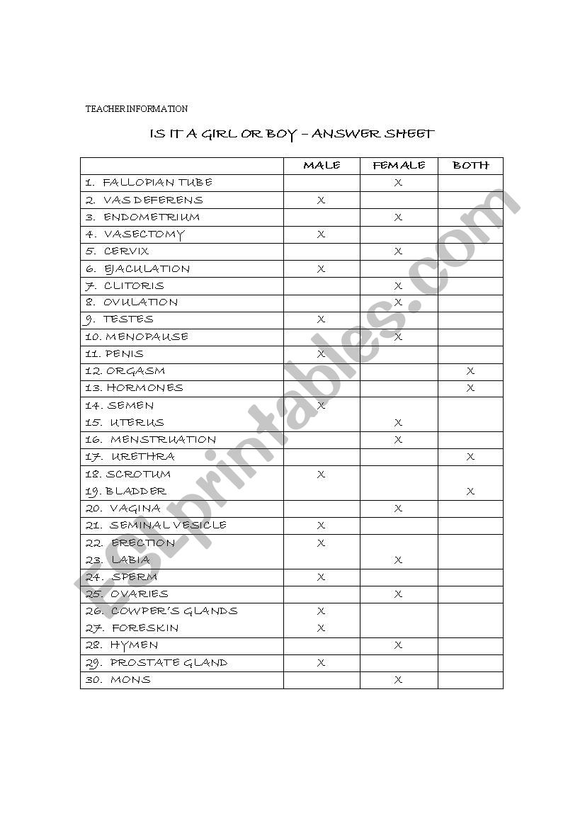 Boy or girl? worksheet