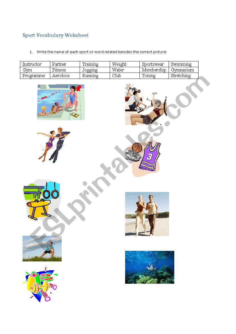 Sport vocabulary worksheet worksheet