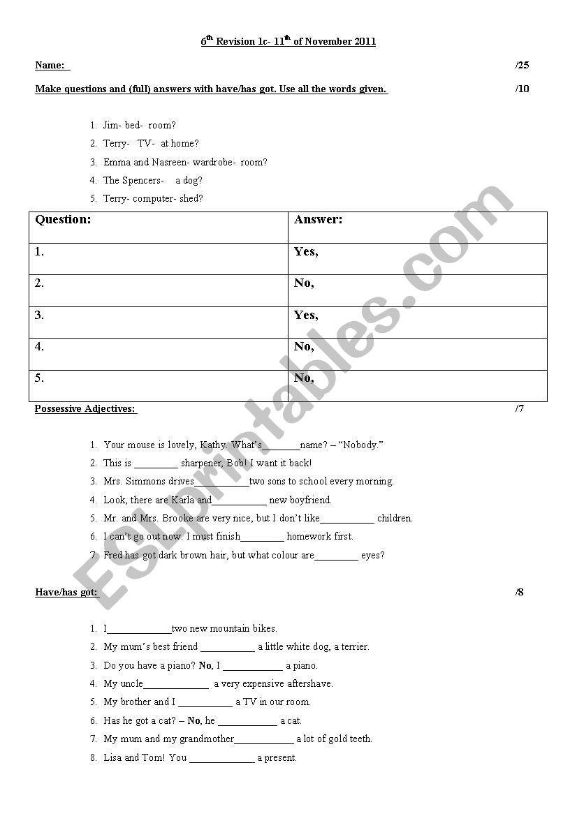 Mock Exam -Questions and fill in have/has got + possessives (elementary)