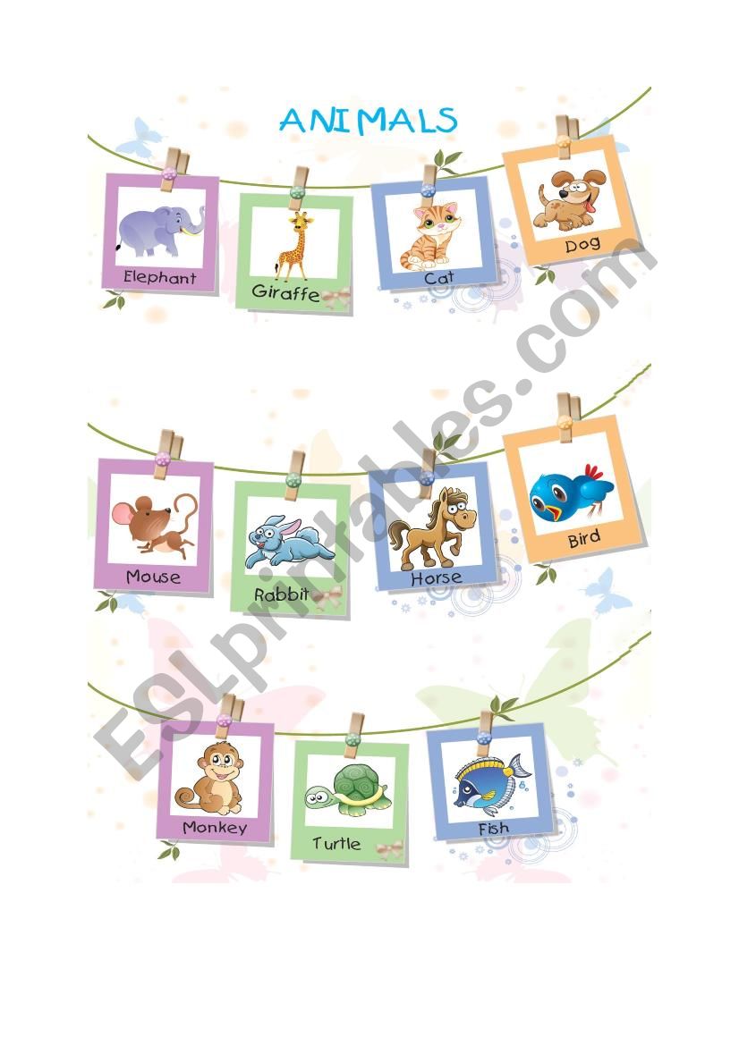 Animals worksheet