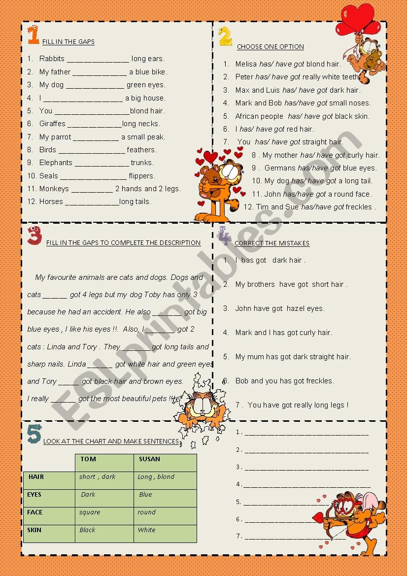 verb have got - affirmative  worksheet