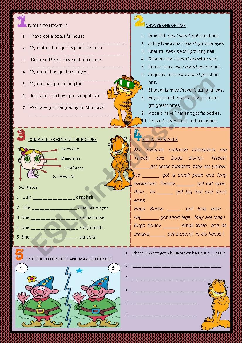 Verb To Have Negative Worksheet